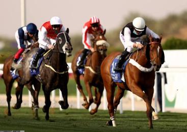 优质材料供应链